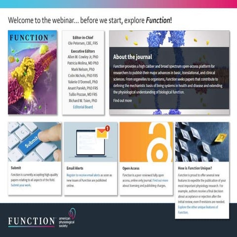 The Brain as a Whole: Executive Neurons and Sustaining Homeostatic Glia