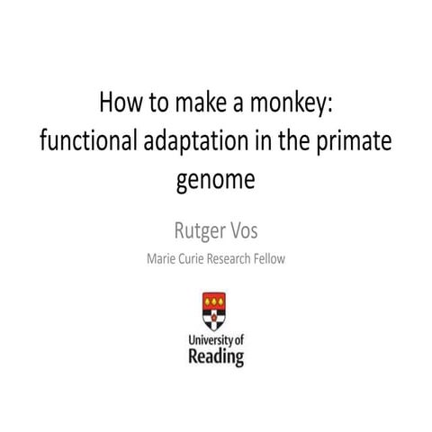 How to make a monkey: functional adaptation in the primate genome