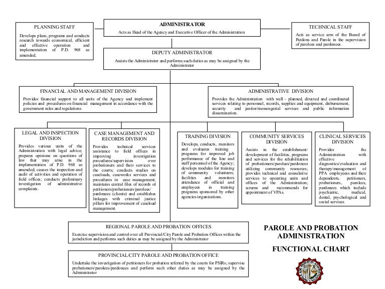 Probation Organizational Chart