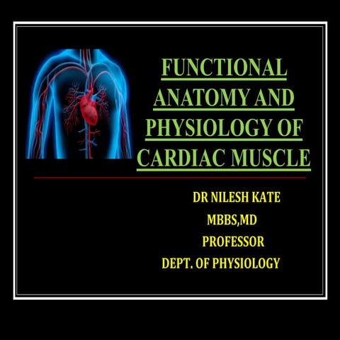Functional anatomy and physiology of cardiac muscle