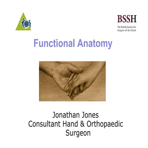 Functional Anatomy Hand | PPT