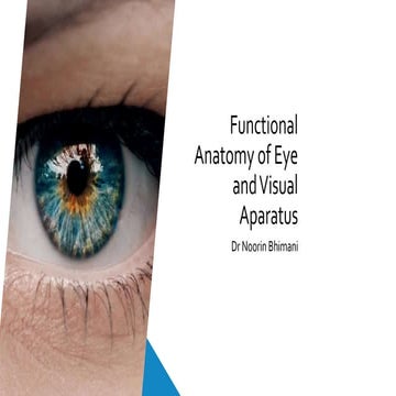 Functional Anatomy of Eye.pptx