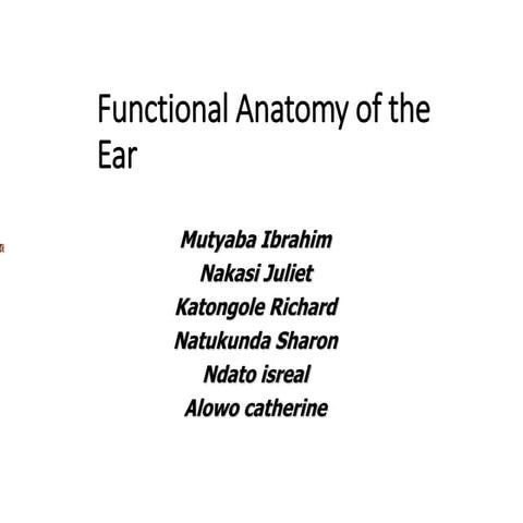 functional anatomy of the ear.ppt