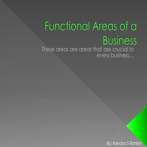 Functional Areas of a Business