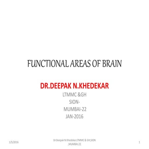 Functional areas of brain.2015.dk