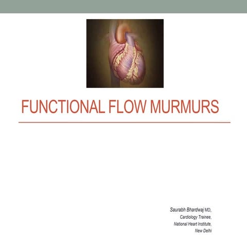 Functional flow murmur