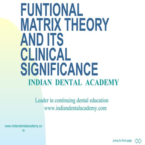 Func  tional matrix theory