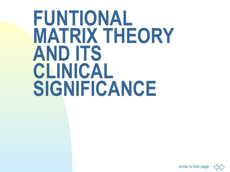 Functional matrix theory