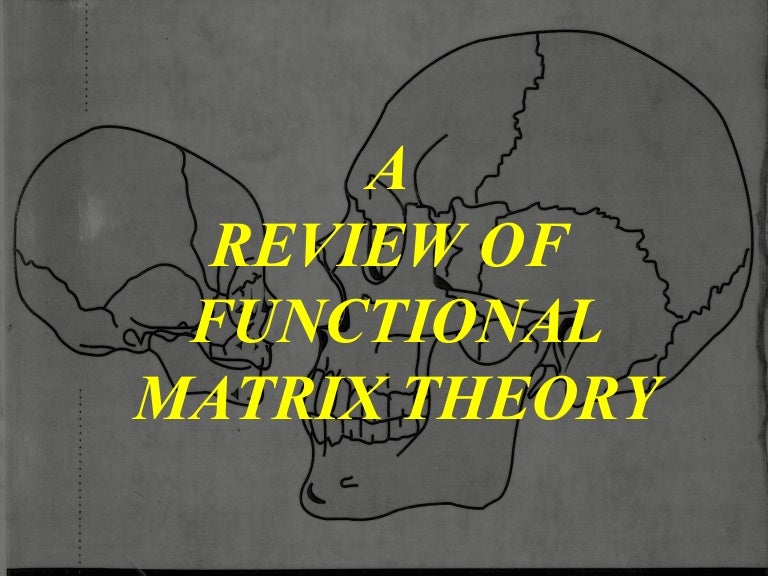 Functional matrix theory