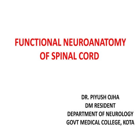 Functional neuroanatomy of spinal cord