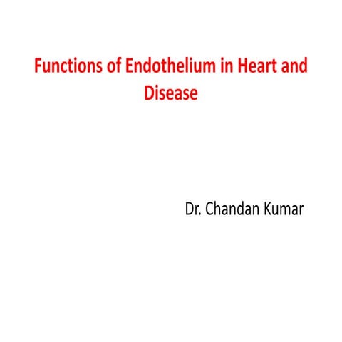Function of endothelium in health and disease