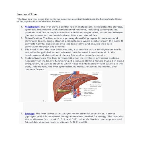 structure of liver.docx