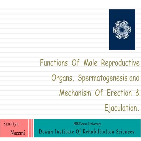 Function of male reproductive organ, spermatogenesis and mechanism of erection and ejaculation.