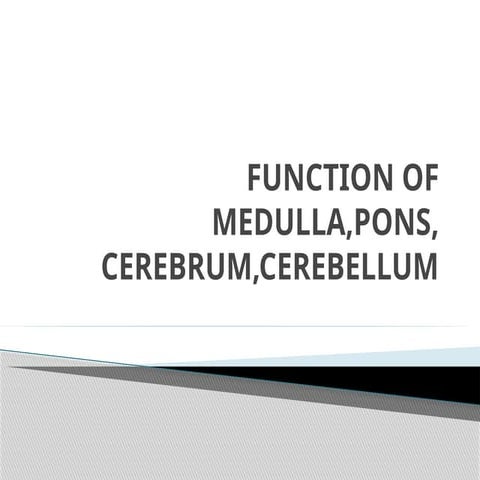 Histology of cerebrum and cerebellum | PDF