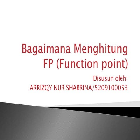 Function point