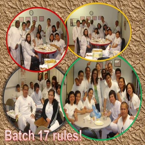 Functions Of The Digestive System