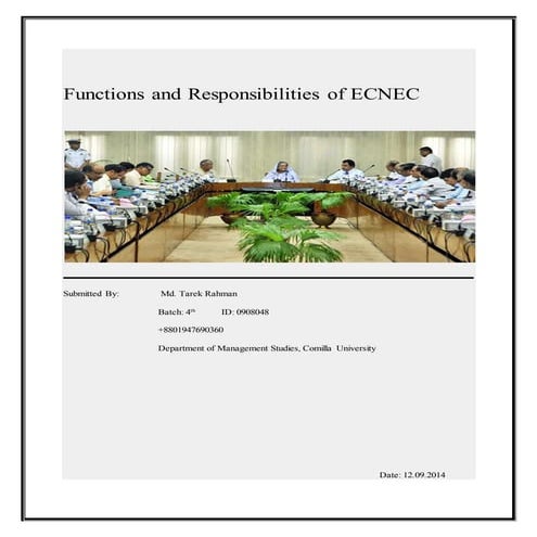 Functions and responsibilities of ECNEC