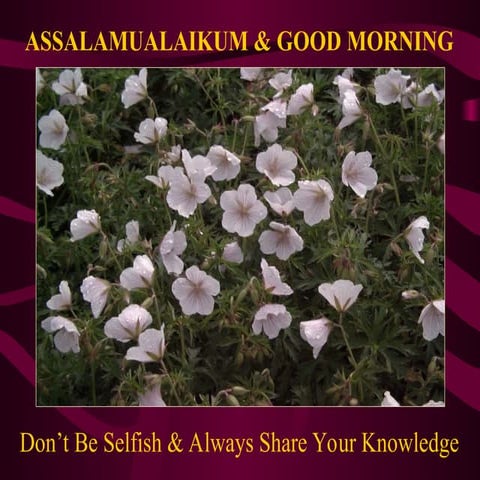 Functions of Admixture in construction  ppt