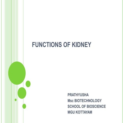 Functions of kidney