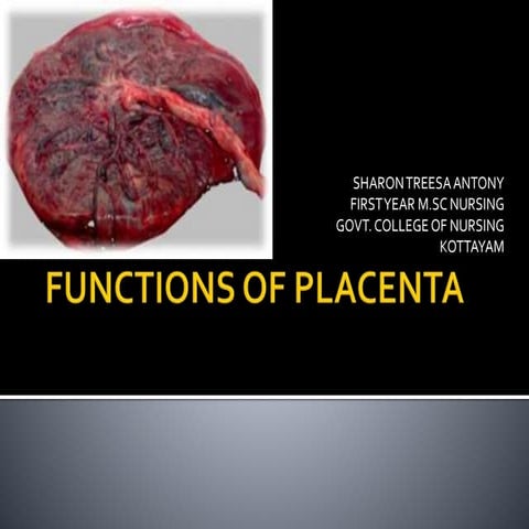 Functions of placenta