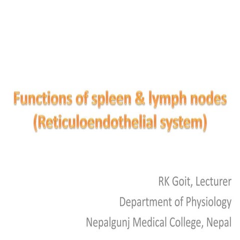 Functions of spleen and lymph nodes
