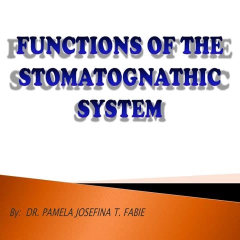 Functions of Stomatognathic System