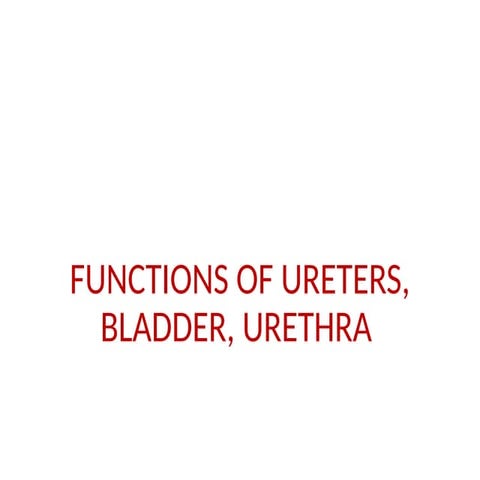 Functions, Regulation of kidney.pptx,renal system