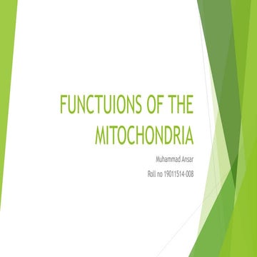 Functuions of the mitochondria bot 203