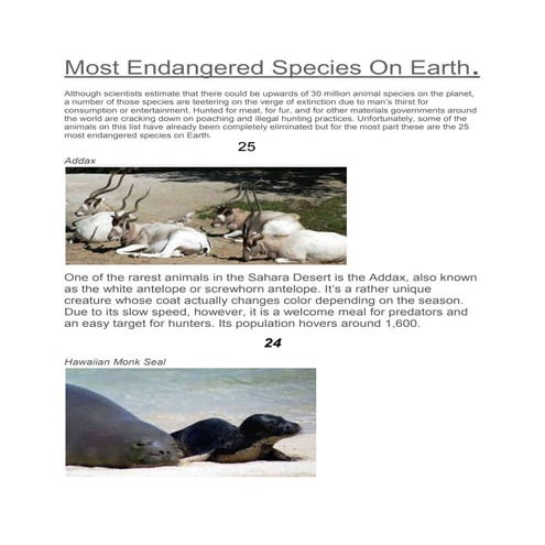 15 bird species in india in critically endangered list | PDF