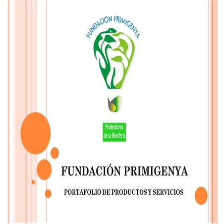 Fundación primigenya portafolio empresarial
