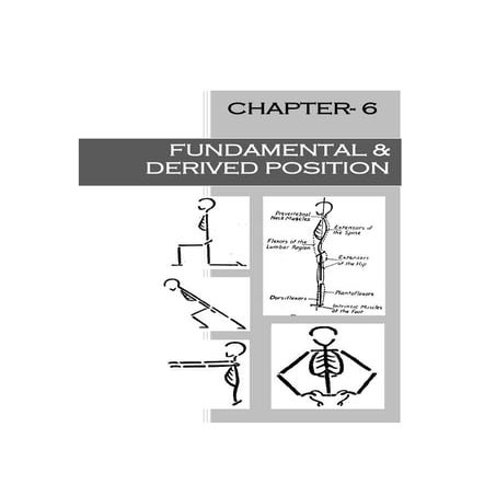 Fundamental and derived position