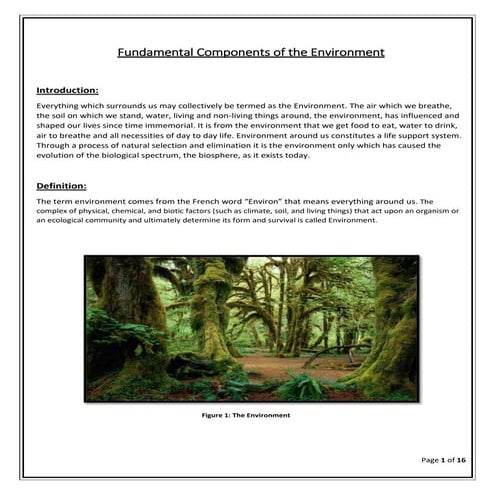 Fundamental Components of the Environment and Environmental Pollutants