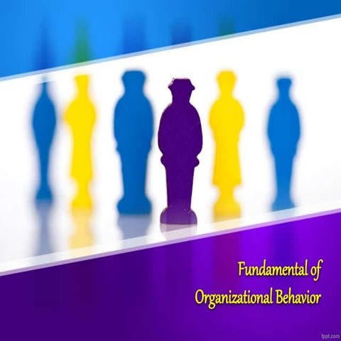 Fundamental of Organizational Behavior