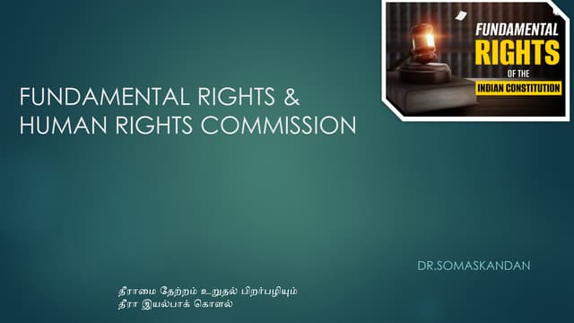 Reading Scripted Statement Commissioner for Fundamental Rights Institutional Autonomy and Political Accountability