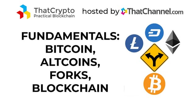 Crypto Fundamentals - Bitcoin, Altcoins, Forks, Blockchain