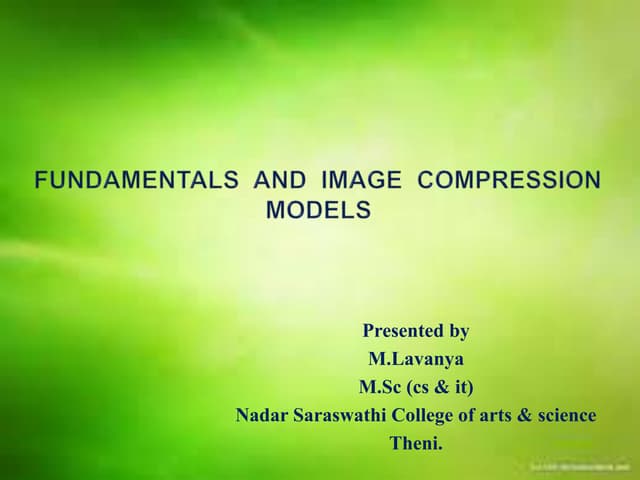 Fundamentals and image compression models
