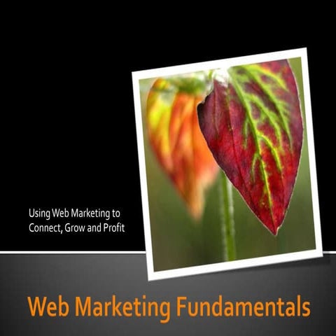 Social Media Boot Camp Training - Web Marketing Fundamentals