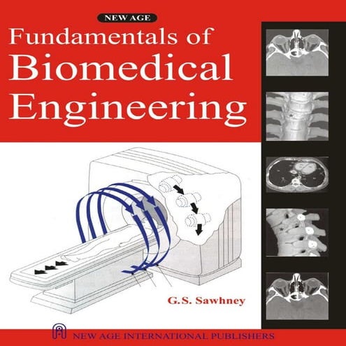 Innerbody | PDF