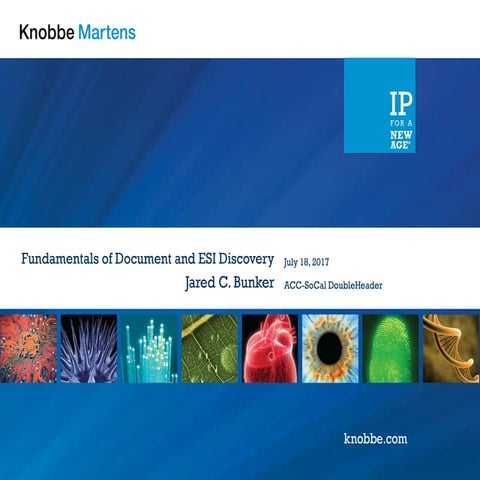 Fundamentals of Document and ESI Discovery