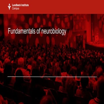 fundamentals_of_neurobiology.pptx