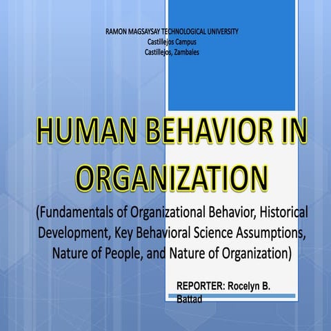 Fundamentals of organizational behavior