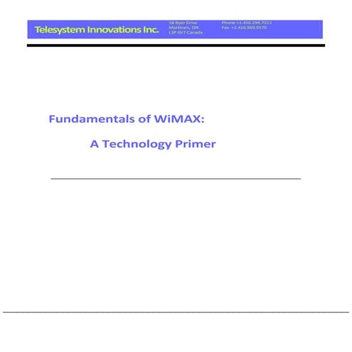 Fundamentals of wi max