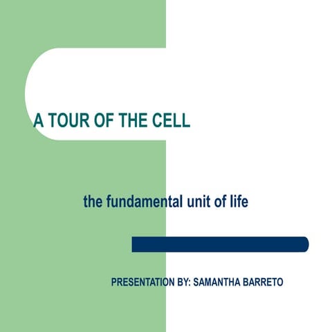 Cell is the Basic Unit of Life | PPTX