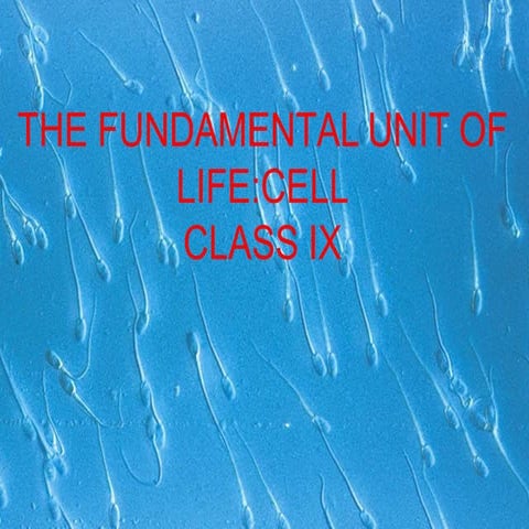 fundamentalunitoflifeclassix-220731093151-24fe9dbf (1).pptx