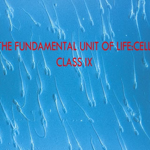 FUNDAMENTAL UNIT OF LIFE CLASS IX.ppt cbse