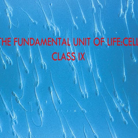 FUNDAMENTAL UNIT OF LIFE CLASS IX2025.pdf