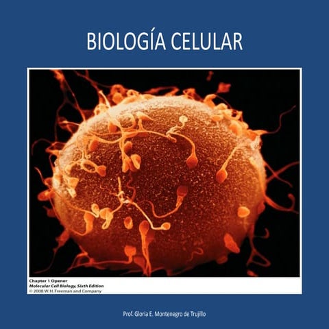  Fundamentos de bio celular y molecular , teoría celular y tipos de células.