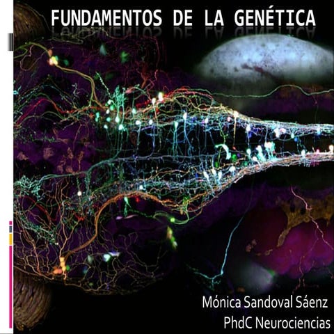 Fundamentos de la genética