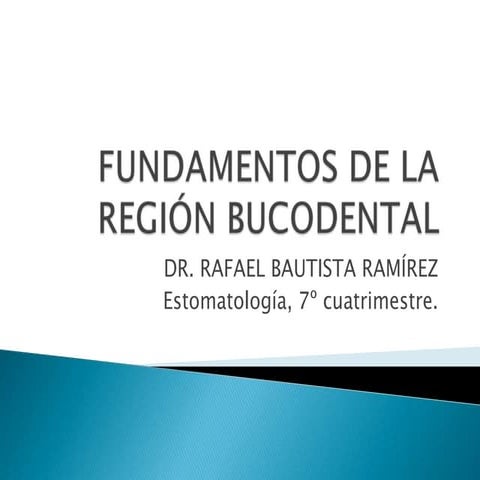 Fundamentos de la región bucodental