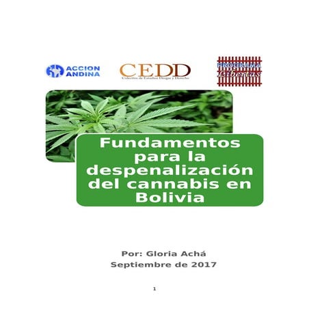 Fundamentos para la despenalización del cannabis en Bolivia
